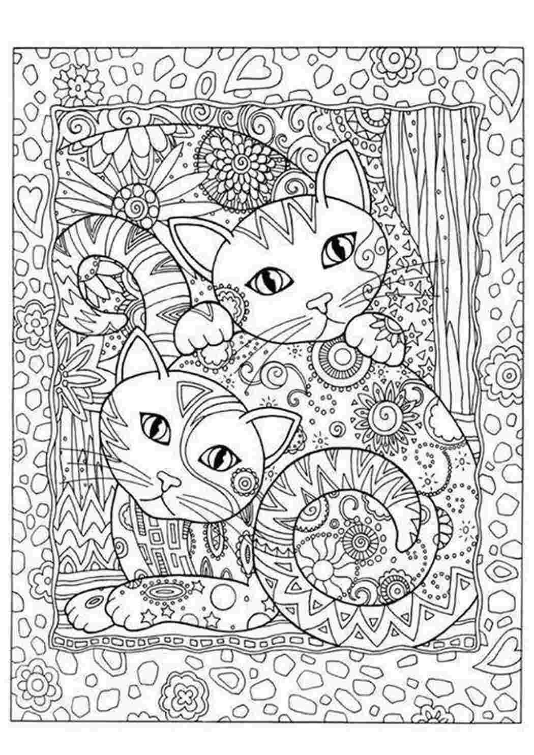 Раскраска Кошенята