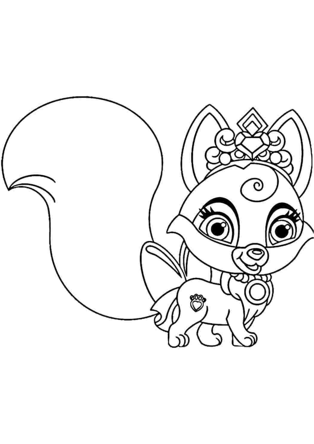 Раскраска Гарні розмальовки казкової тварини з дуже пухнастим і великим хвостом