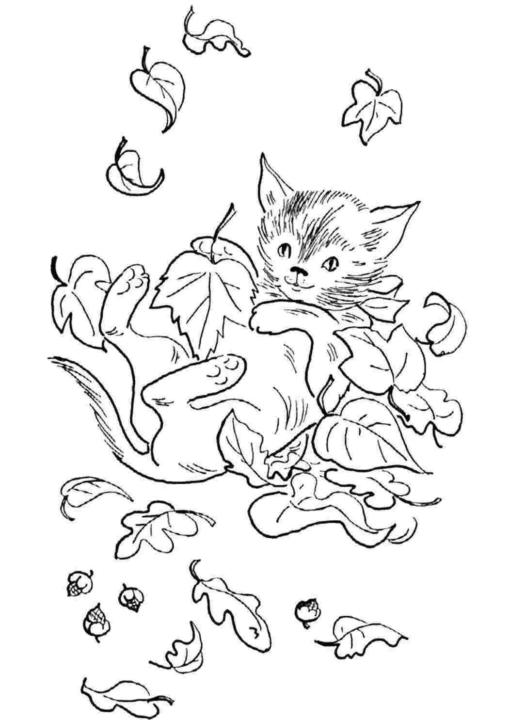 Раскраска Кіт грається у листі