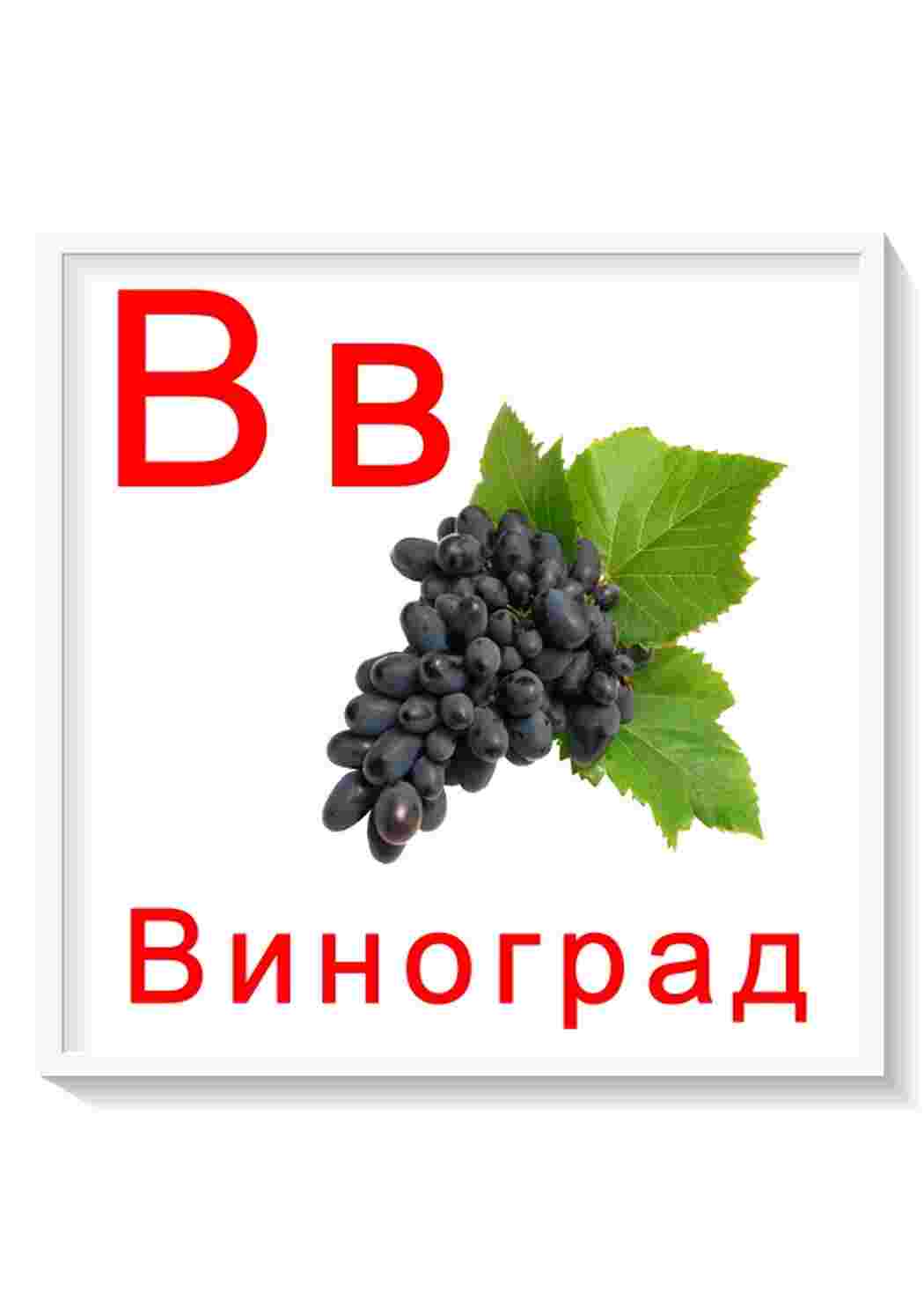 Раскраска Картки з літерами від я до я всі літери російського алфавіту для завантаження та занять з дітьми дошкільного віку