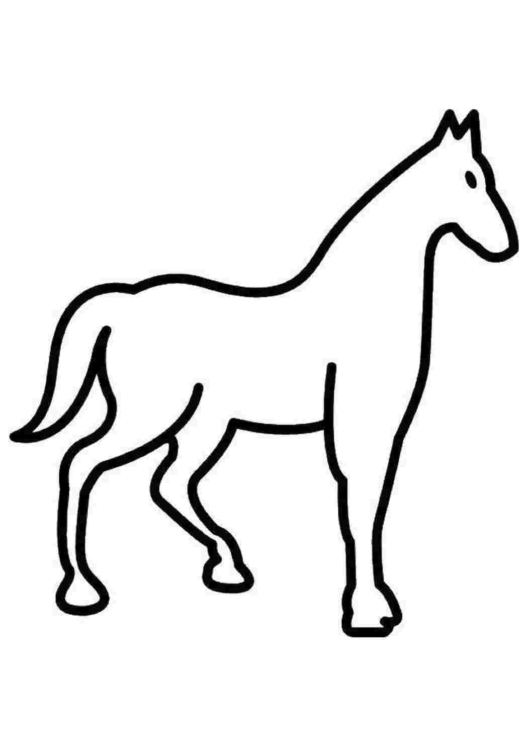 Раскраска Контур коня
