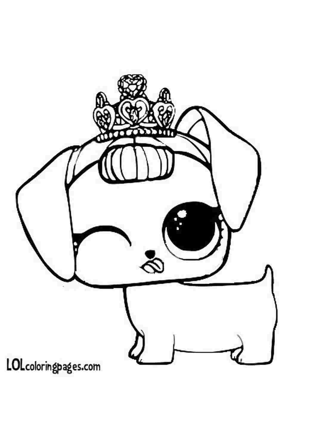 Раскраска Розфарбування Fancy Haute Dog розмальовки ляльки Lol surprise лялька песик