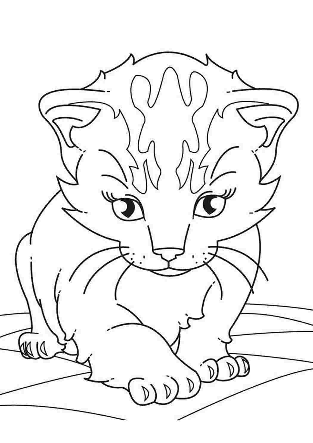 Раскраска Милий котенок