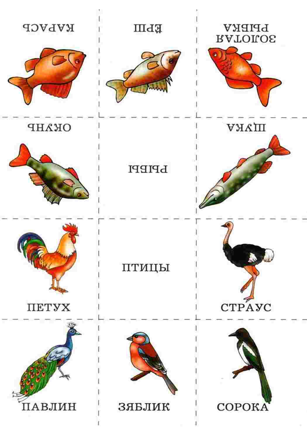 Раскраска картки риби