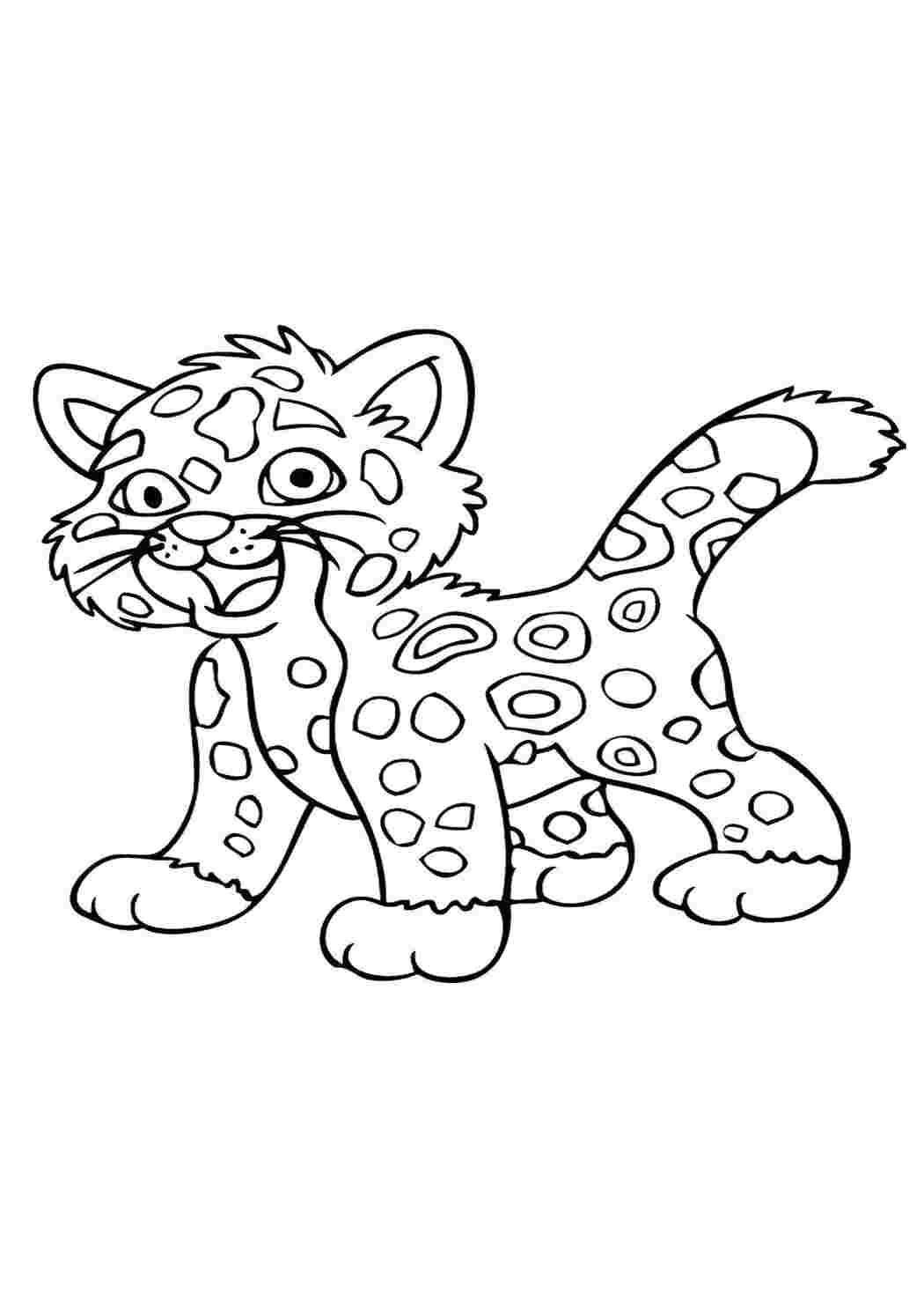 Раскраска Барсик Дієго