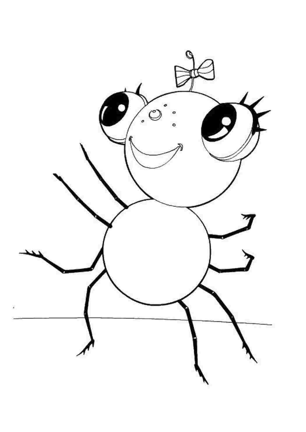 Раскраска Маленький павучок з бантиком