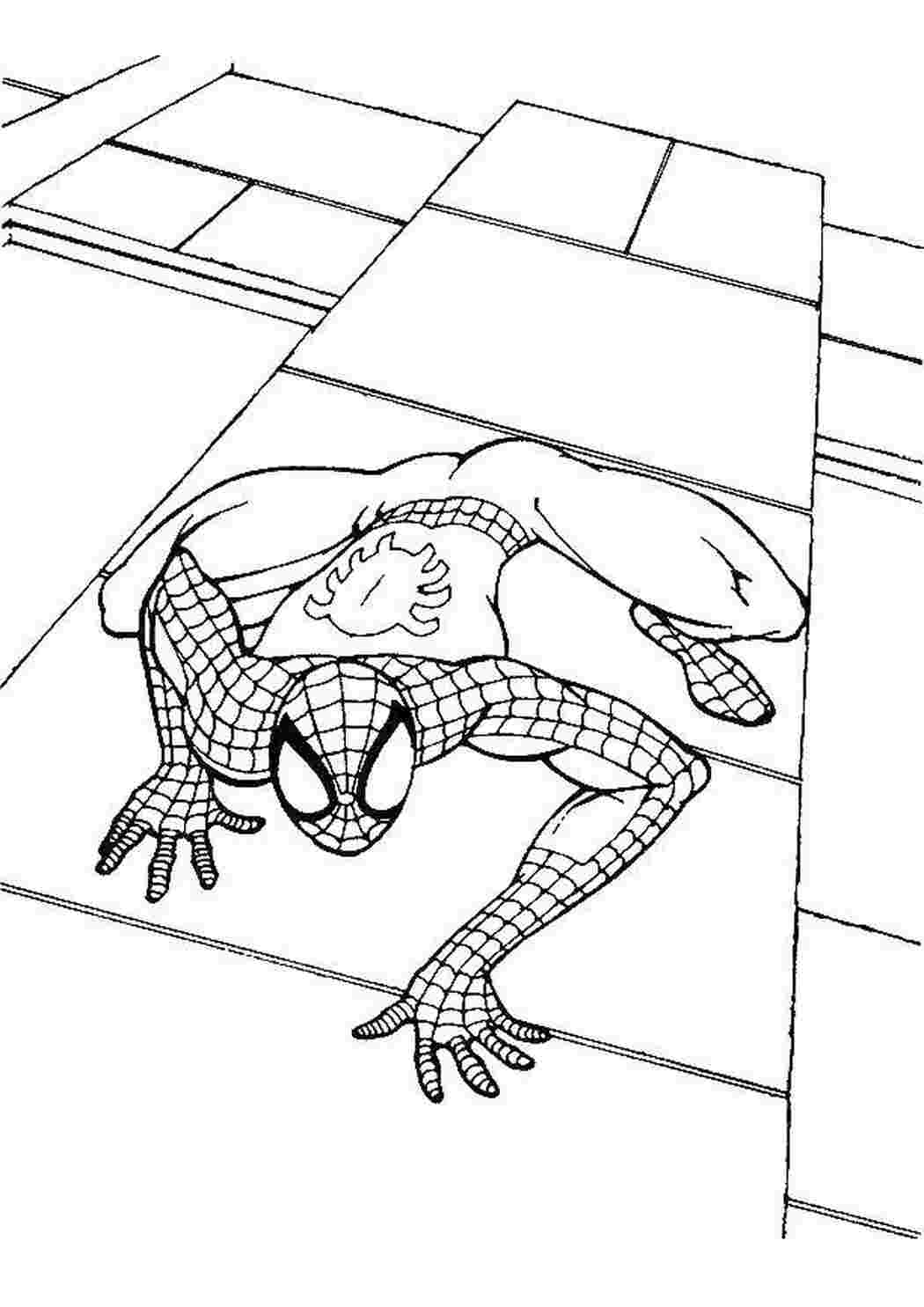 Раскраска Людина павук повзе по стінах