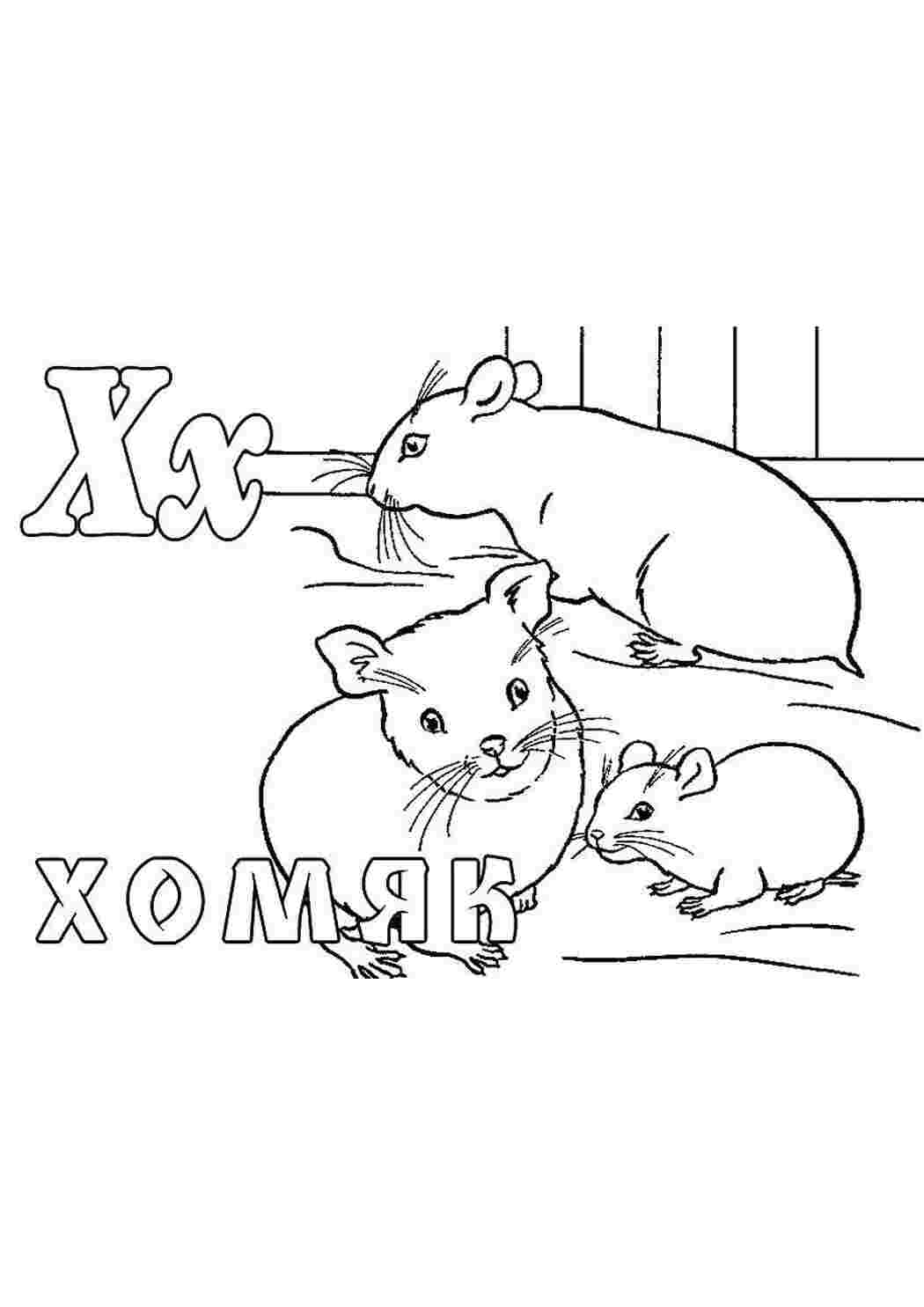 Раскраска Хом яки