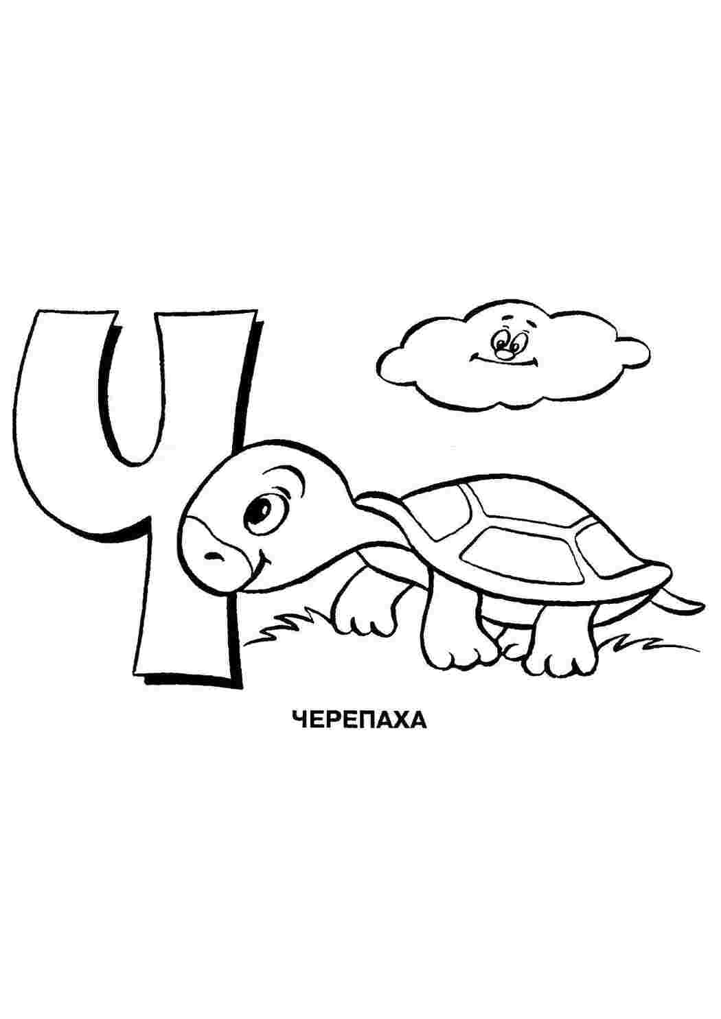 Раскраска Черепаха на букву ч