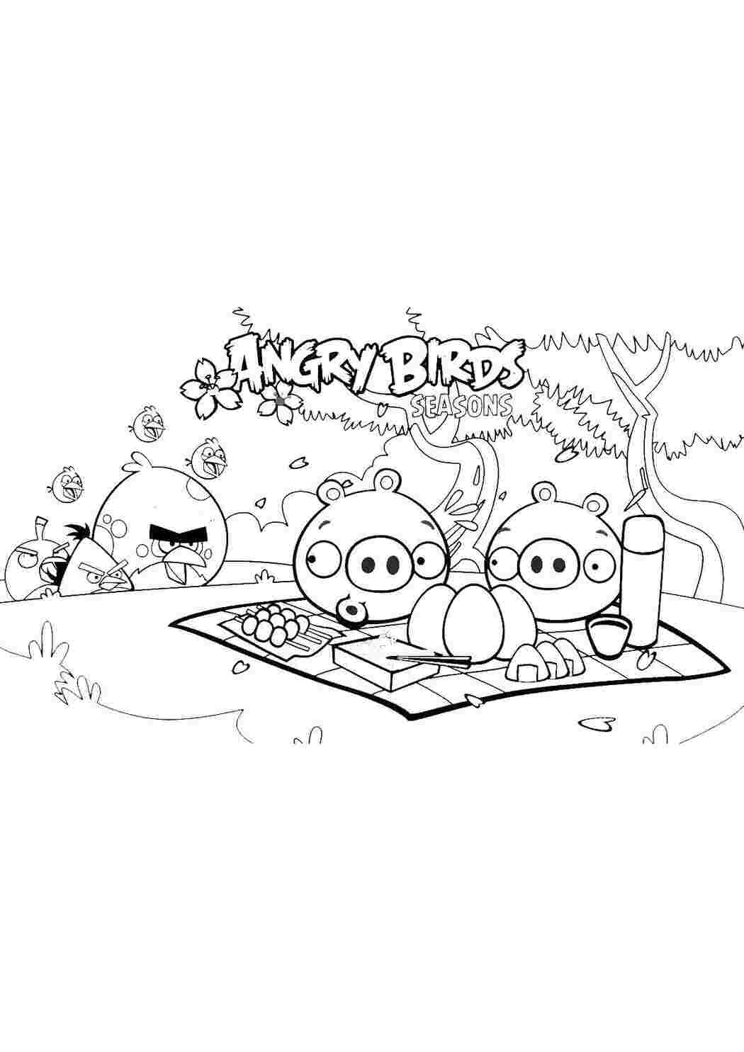 Раскраска Пташки та свинки з Angry Birds