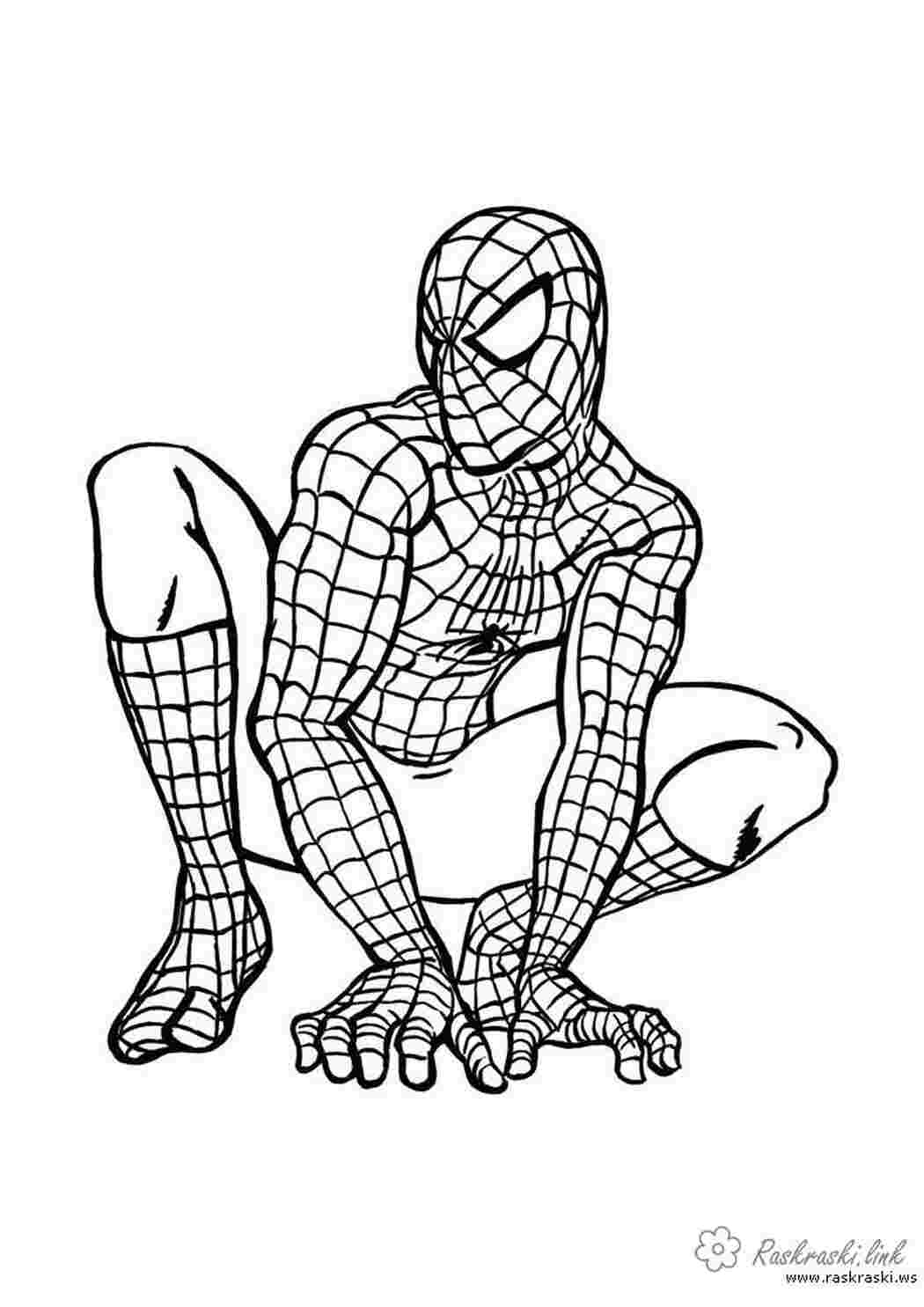 Раскраска розмальовки Людина павук комікси Marvel
