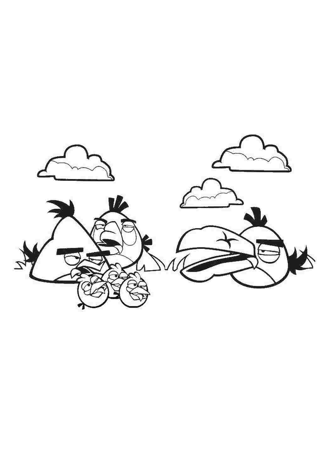 Раскраска Пташки з Angry Birds