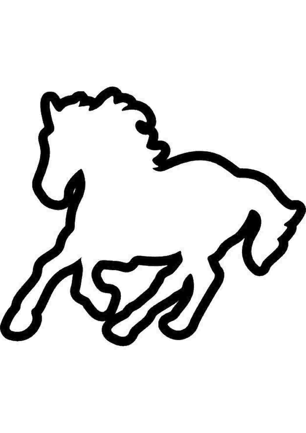 Раскраска Контур коня