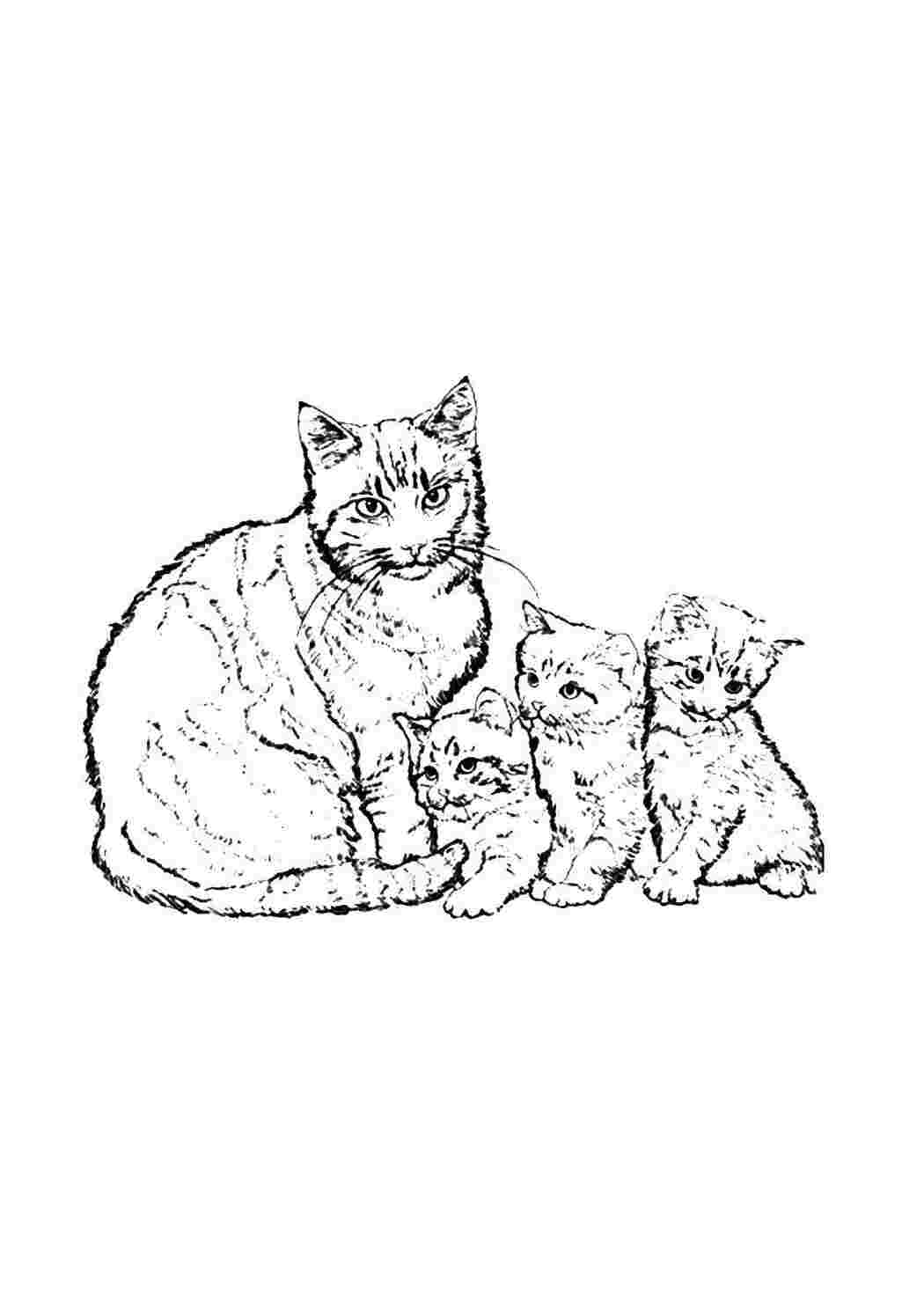 Раскраска Котяча родина