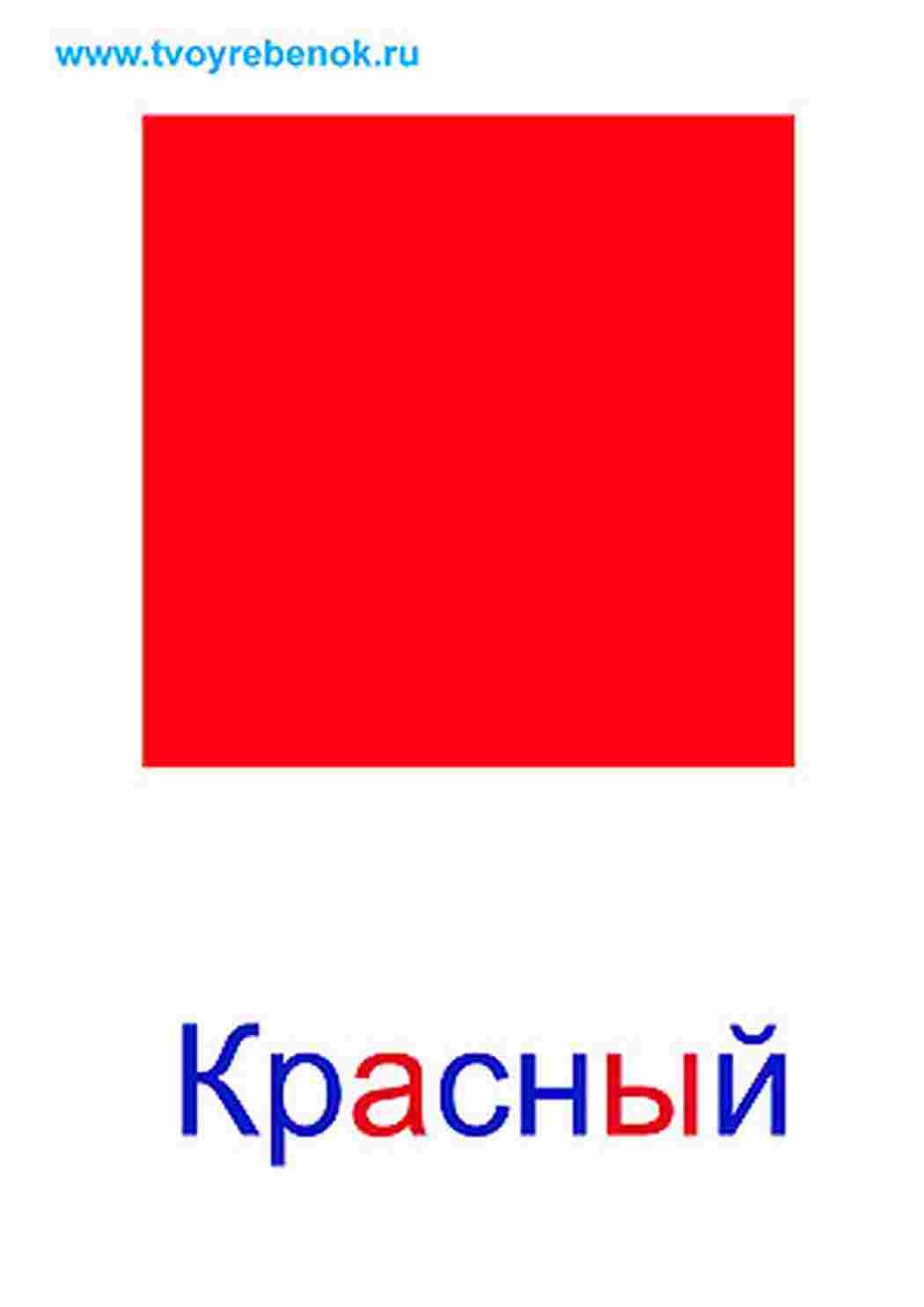 Раскраска картка квітів різні квіти