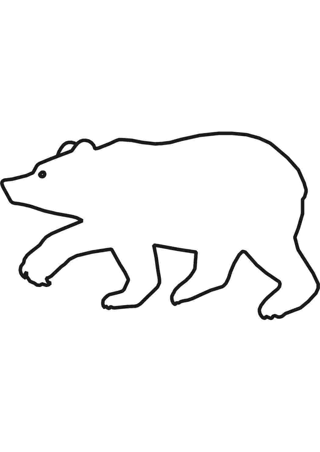 Раскраска Ведмідь