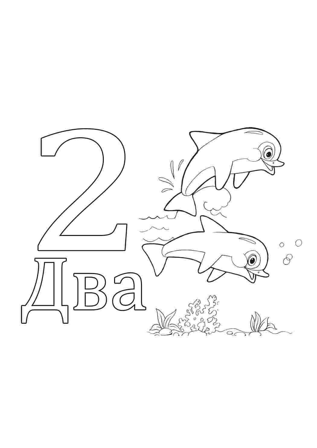 Раскраска Два дельфіна