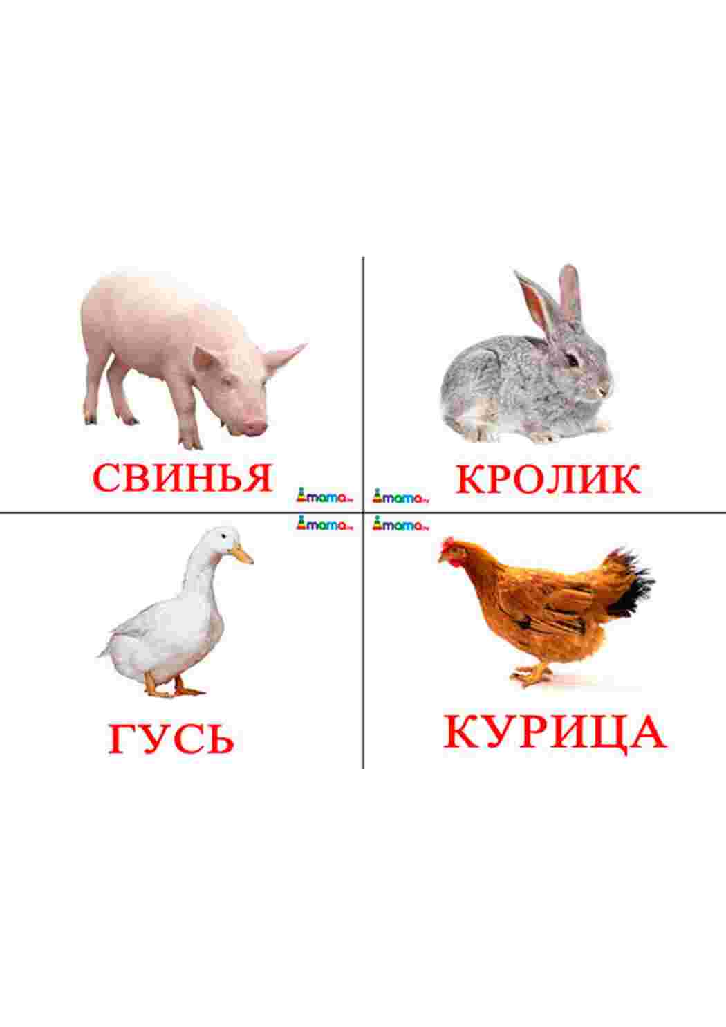 Раскраска картки з домашніми тваринами