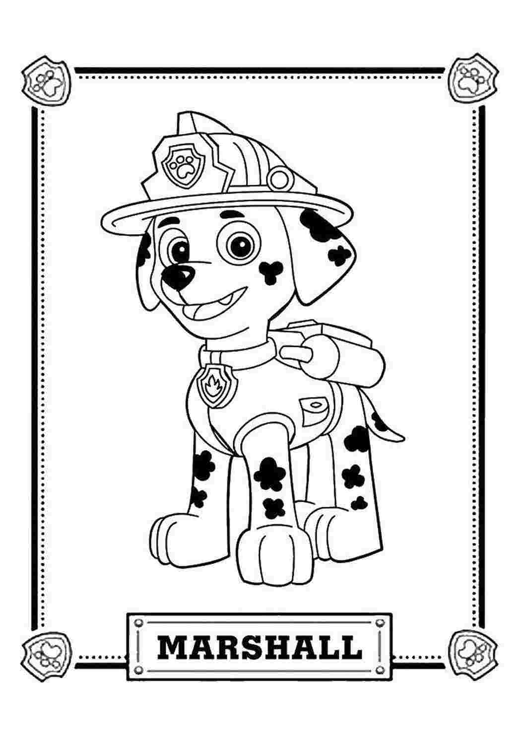 Раскраска маршал