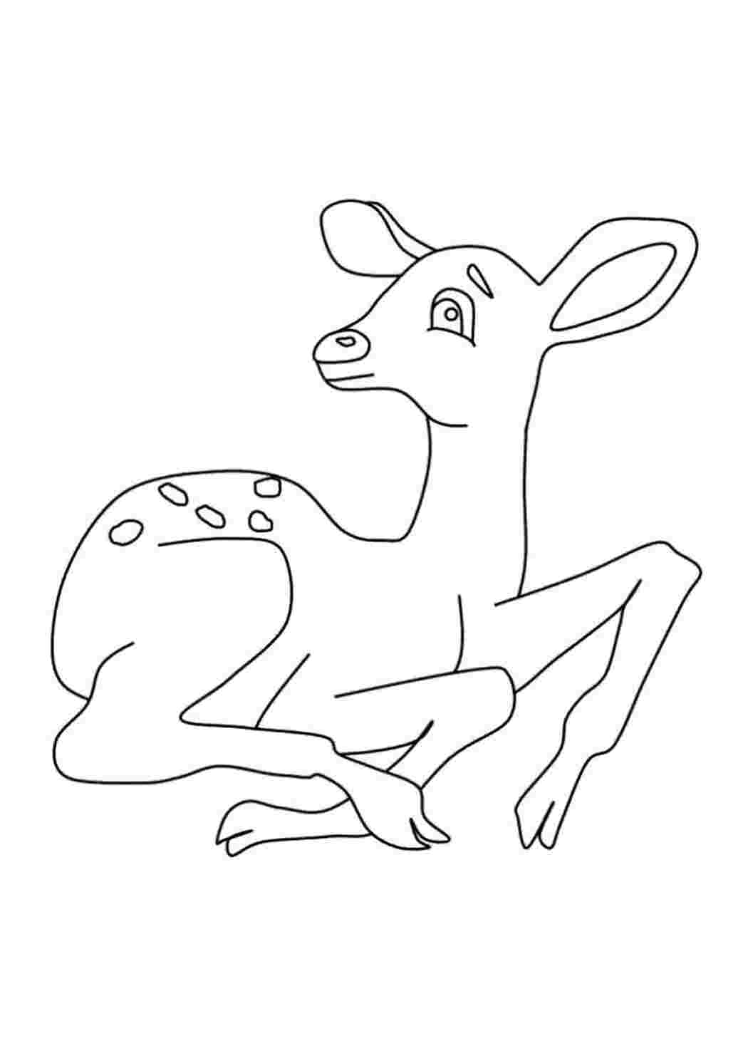 Раскраска 