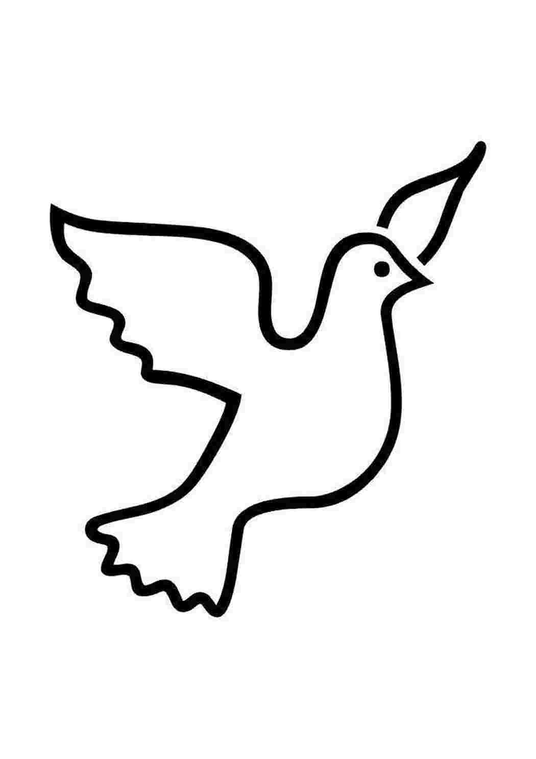 Раскраска Силует голуба голубь летить