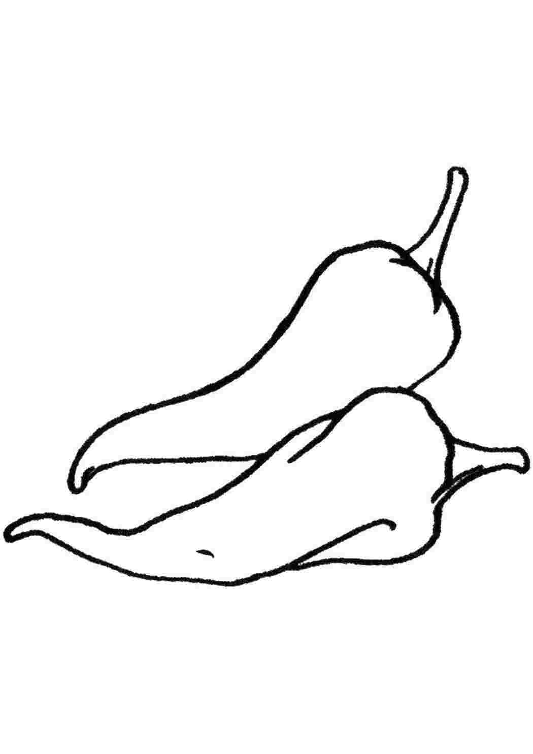 Раскраска Перечики