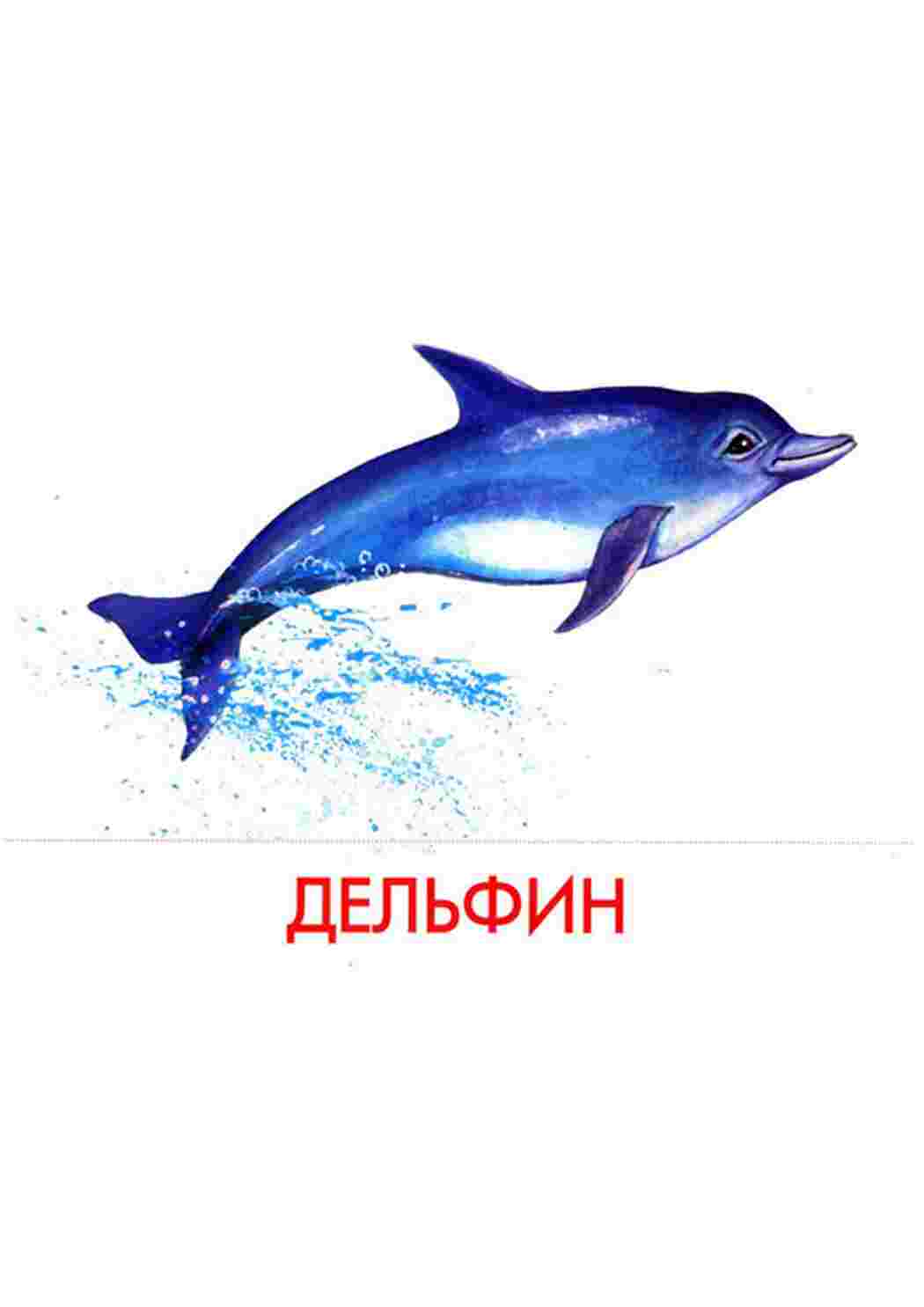 Раскраска картки морські мешканці