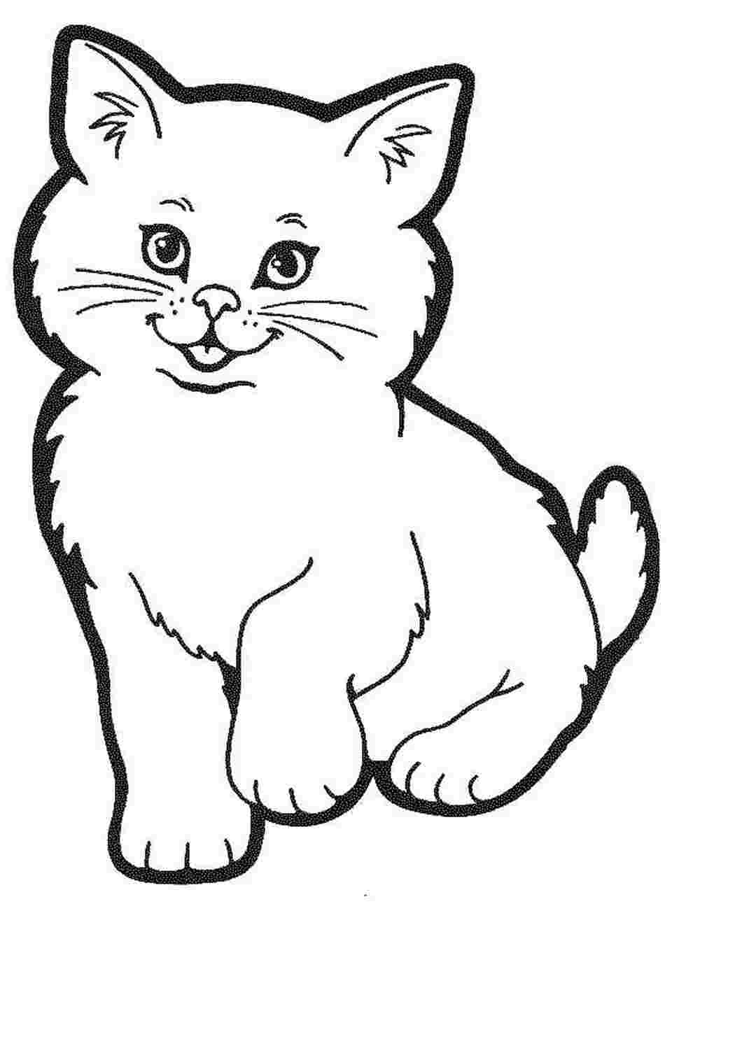Раскраска Пухнастий котик