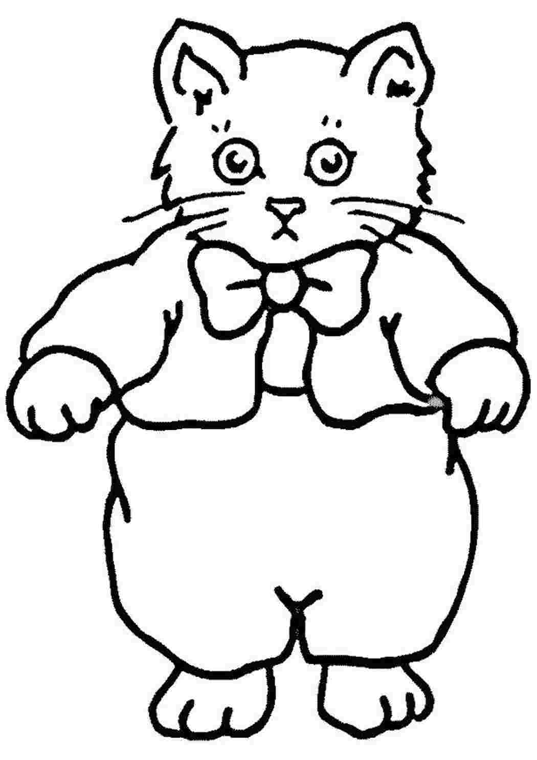Раскраска Наряд котика