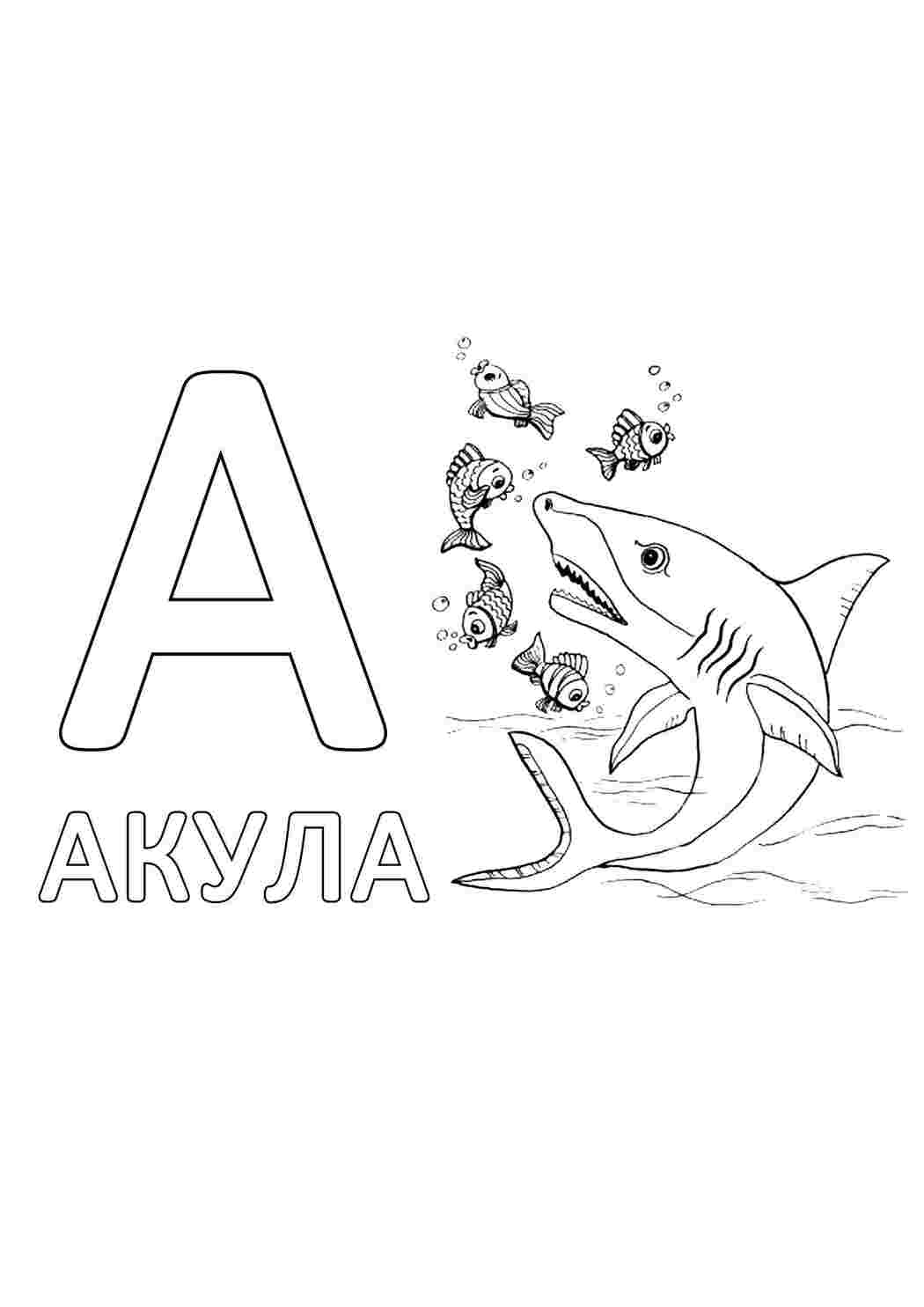 Раскраска акула