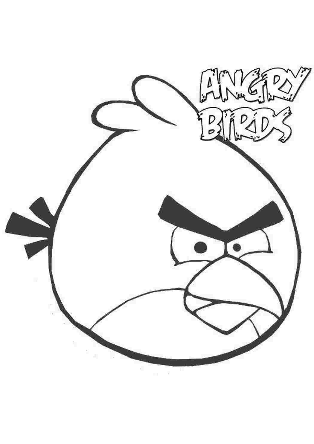 Раскраска Кругла пташка з Angry Birds