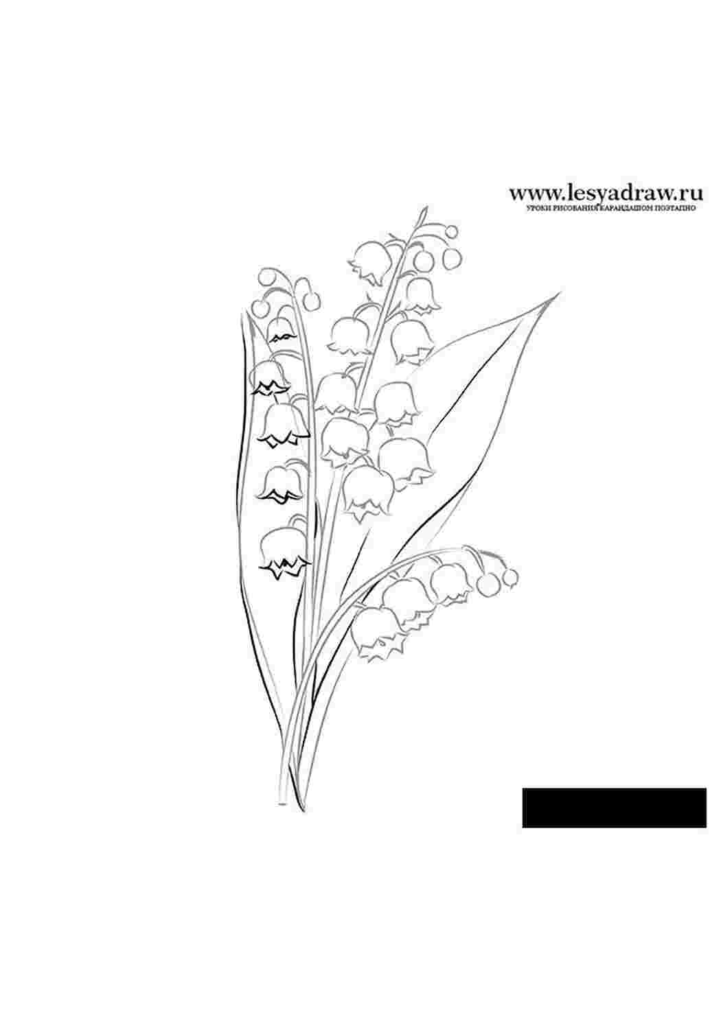 Раскраска розмальовка квіти