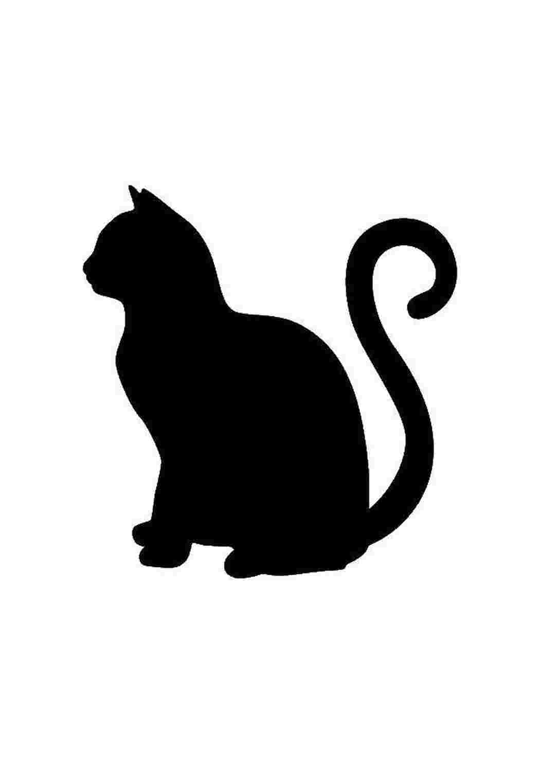 Раскраска Контур кошки