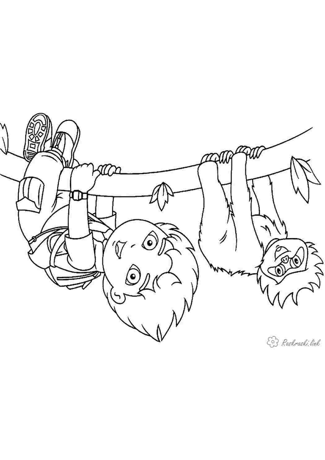 Раскраска дерево, мавпа