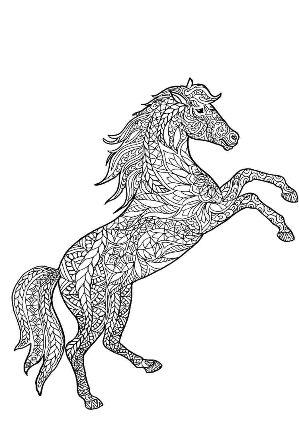 Раскраска Гарні розмальовки Кінь на задніх ногах