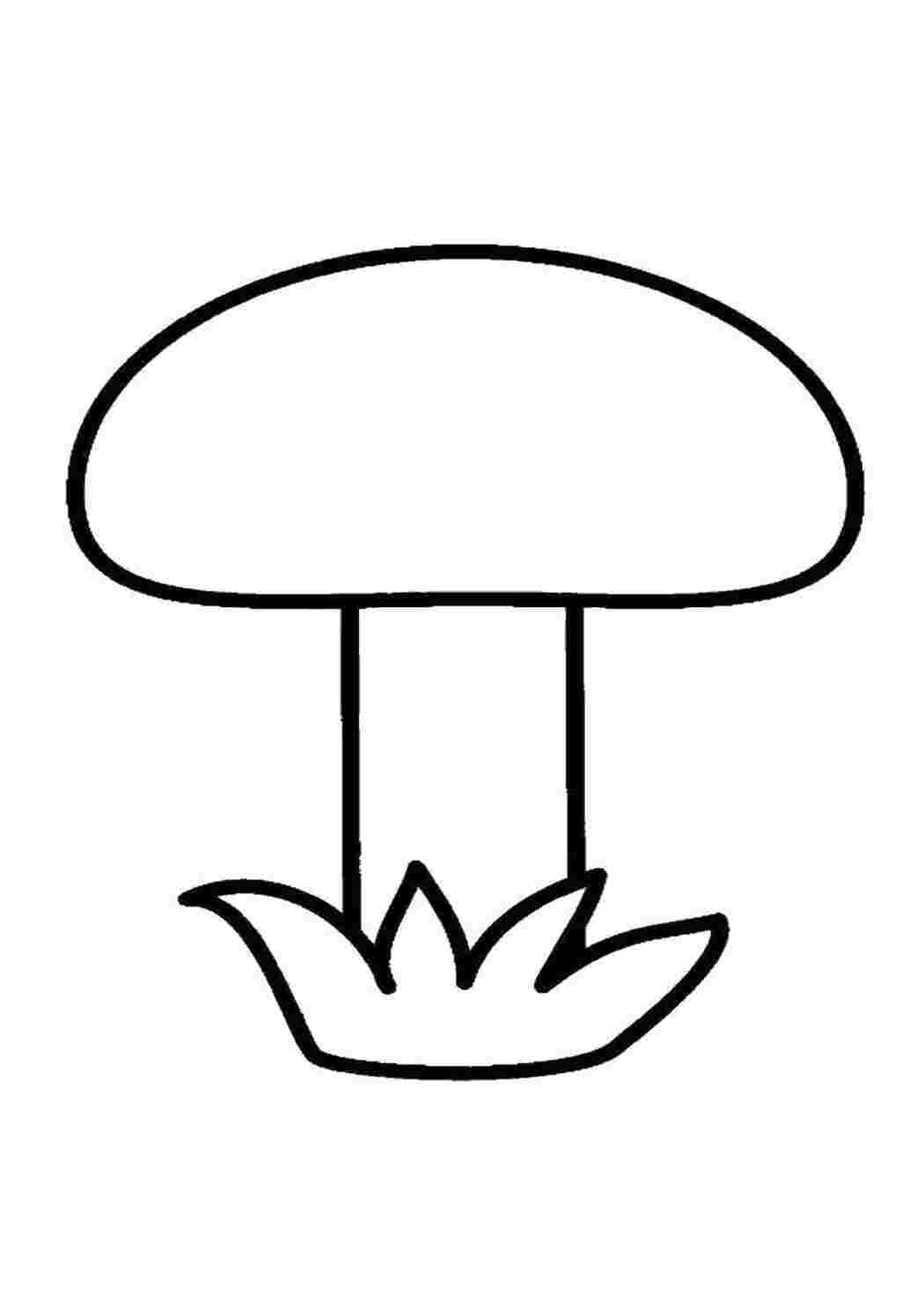 Раскраска Гриби