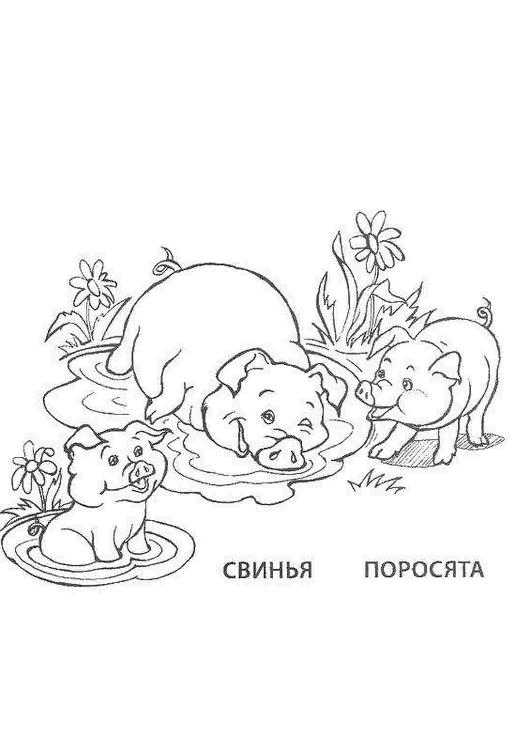 Раскраска Свиня та її поросята