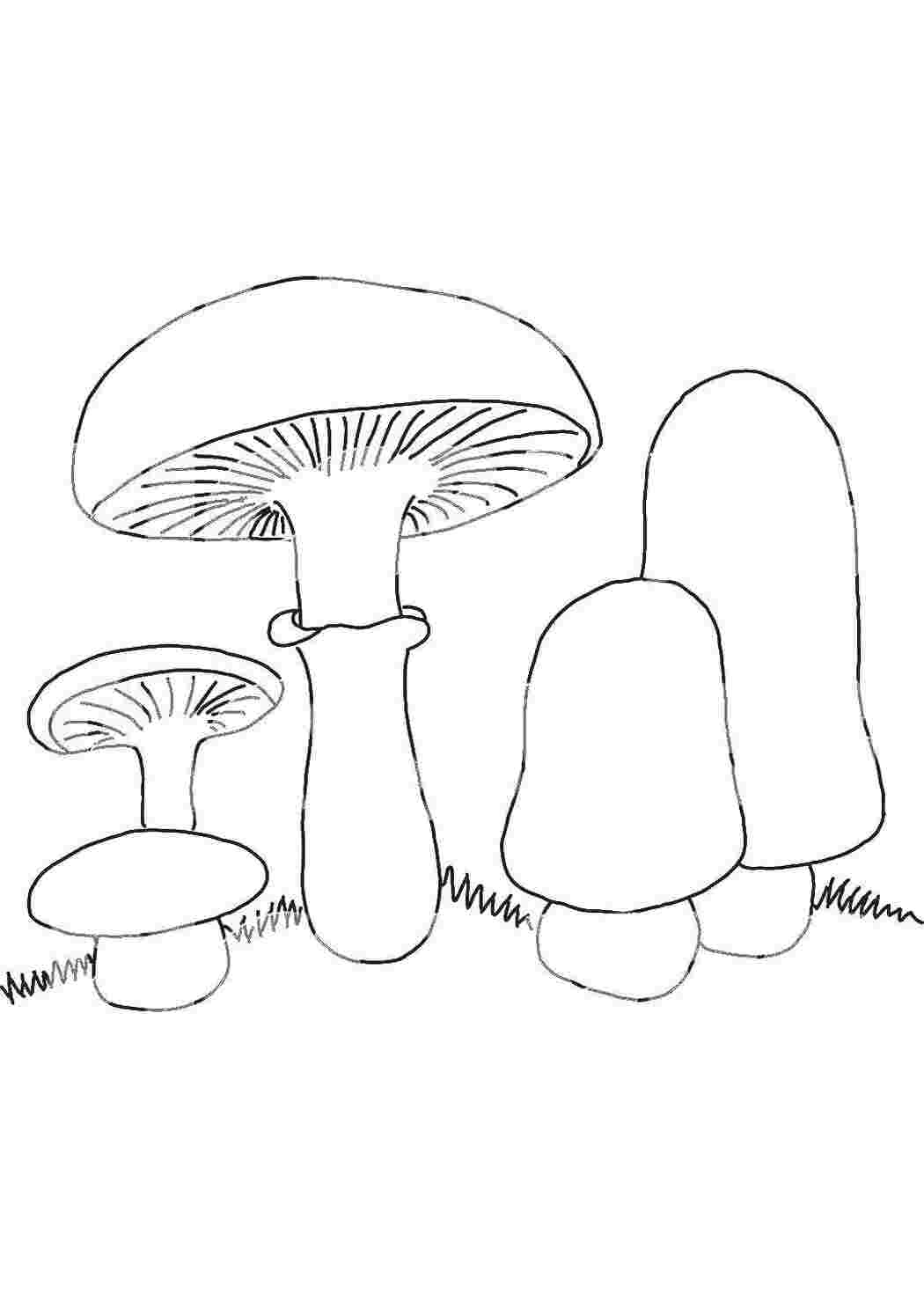 Раскраска Грибочки
