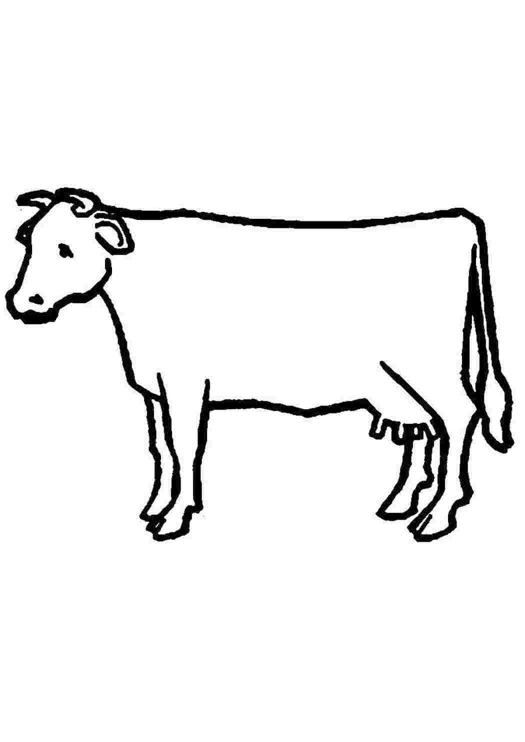 Раскраска Корова.