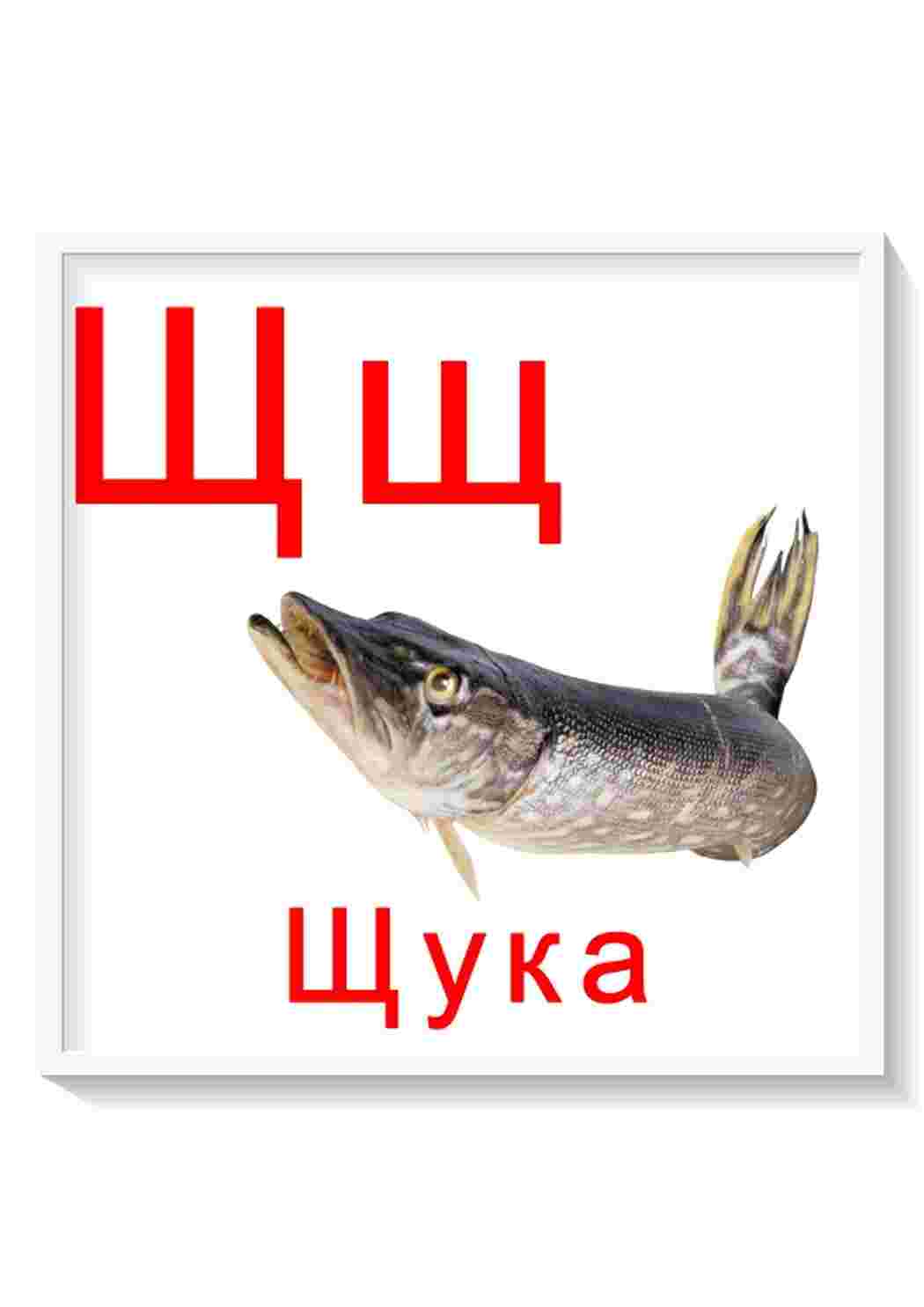 Раскраска Картки з буквами від я до я всі літери російського алфавіту завантажити для занять з дітьми дошкільного віку