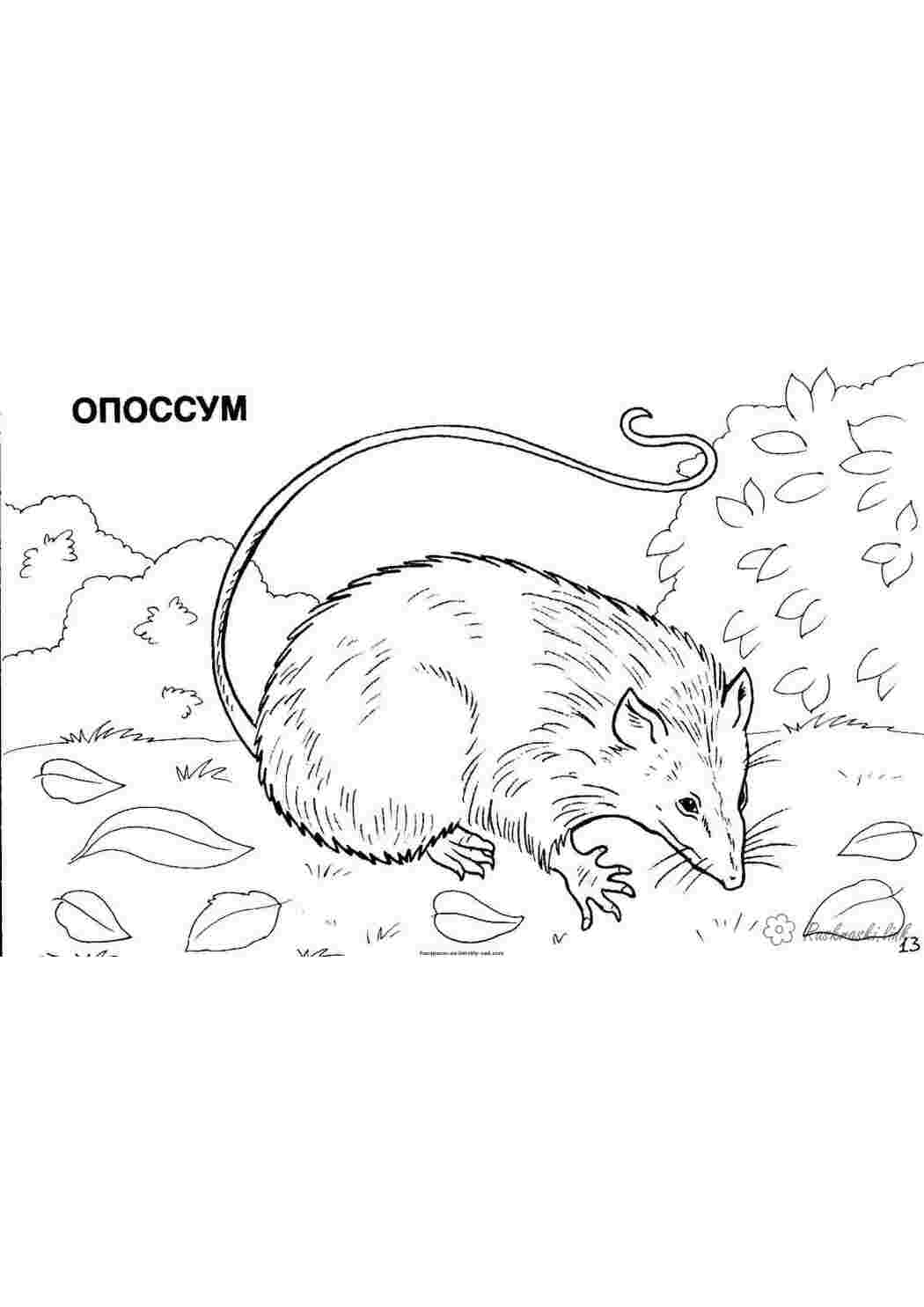 Раскраска зображення на робочий стіл онлайн
