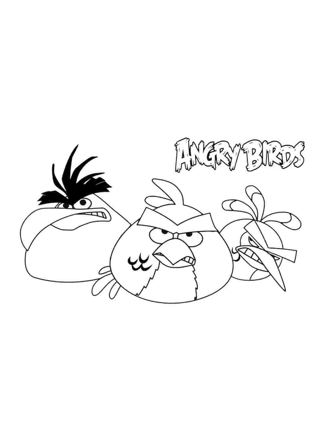 Раскраска Гарні розмальовки Три погані пташки та напис Angry Birds