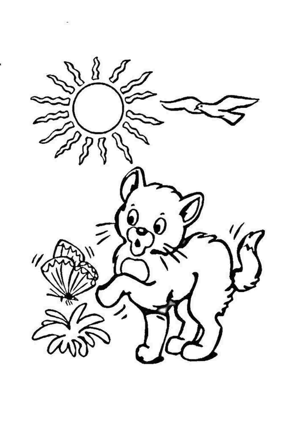 Раскраска Кошеня боїться метелика