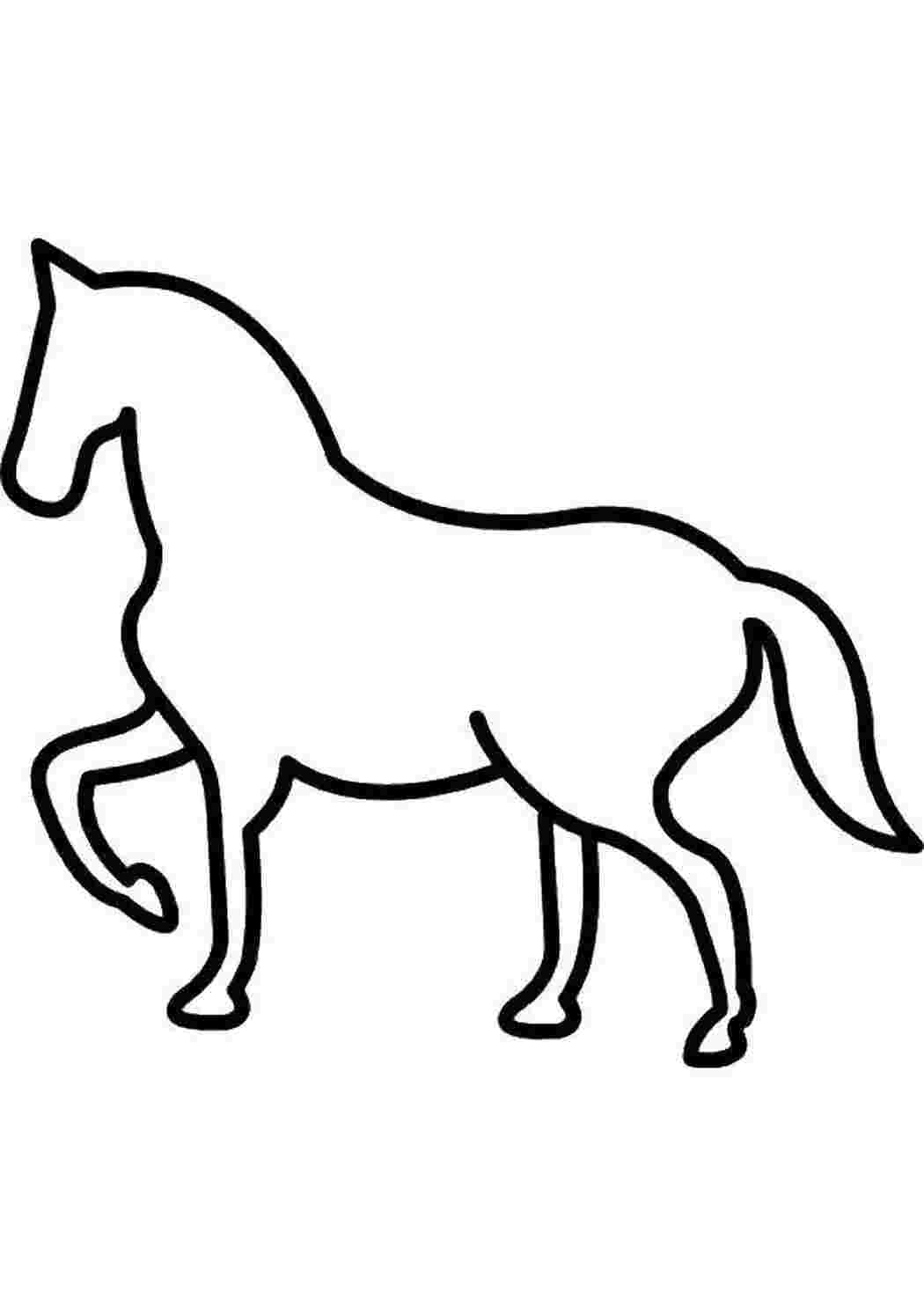 Раскраска 
