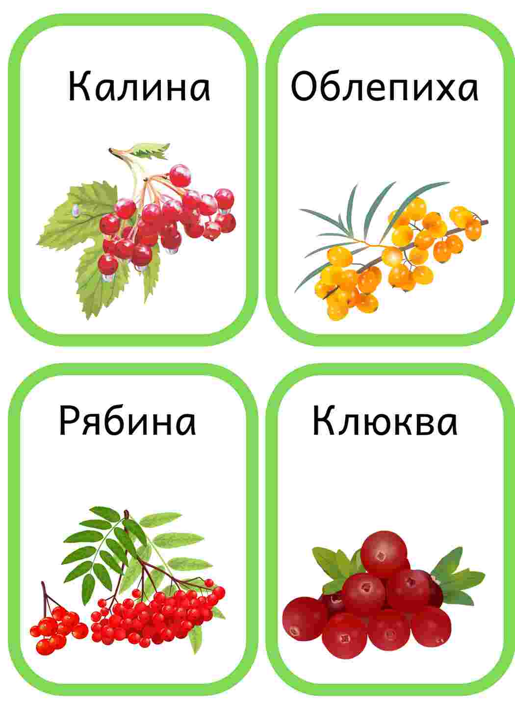 Раскраска Картки з ягодами та фруктами для раннього розвитку Уроки природознавства для дошкільнят