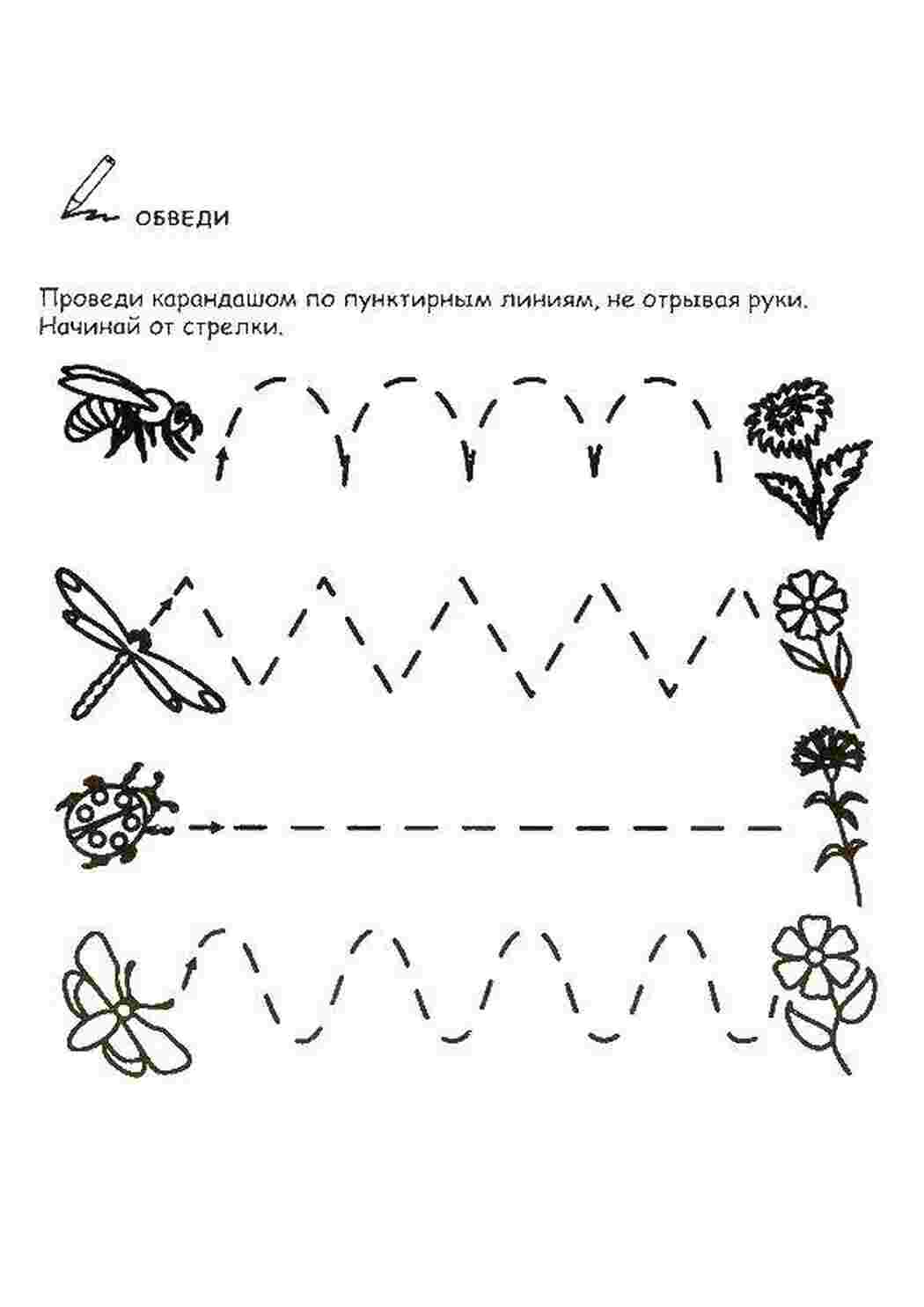 Раскраска Комахи та квіти