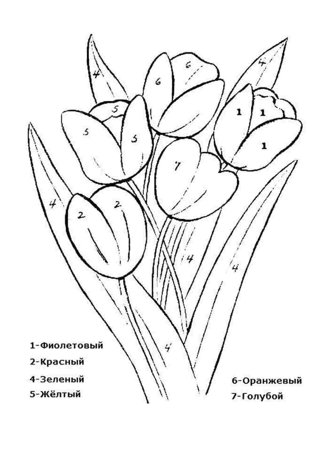 Раскраска Розфарбуй за номерами тюльпани