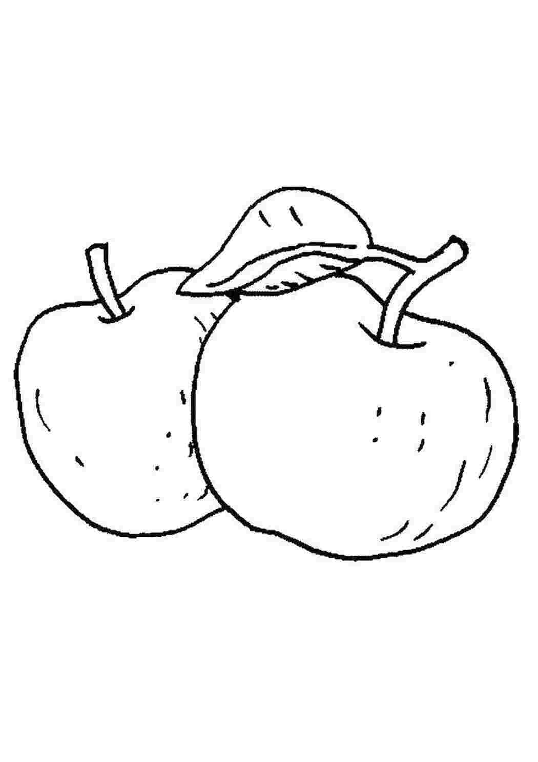 Раскраска Яблука