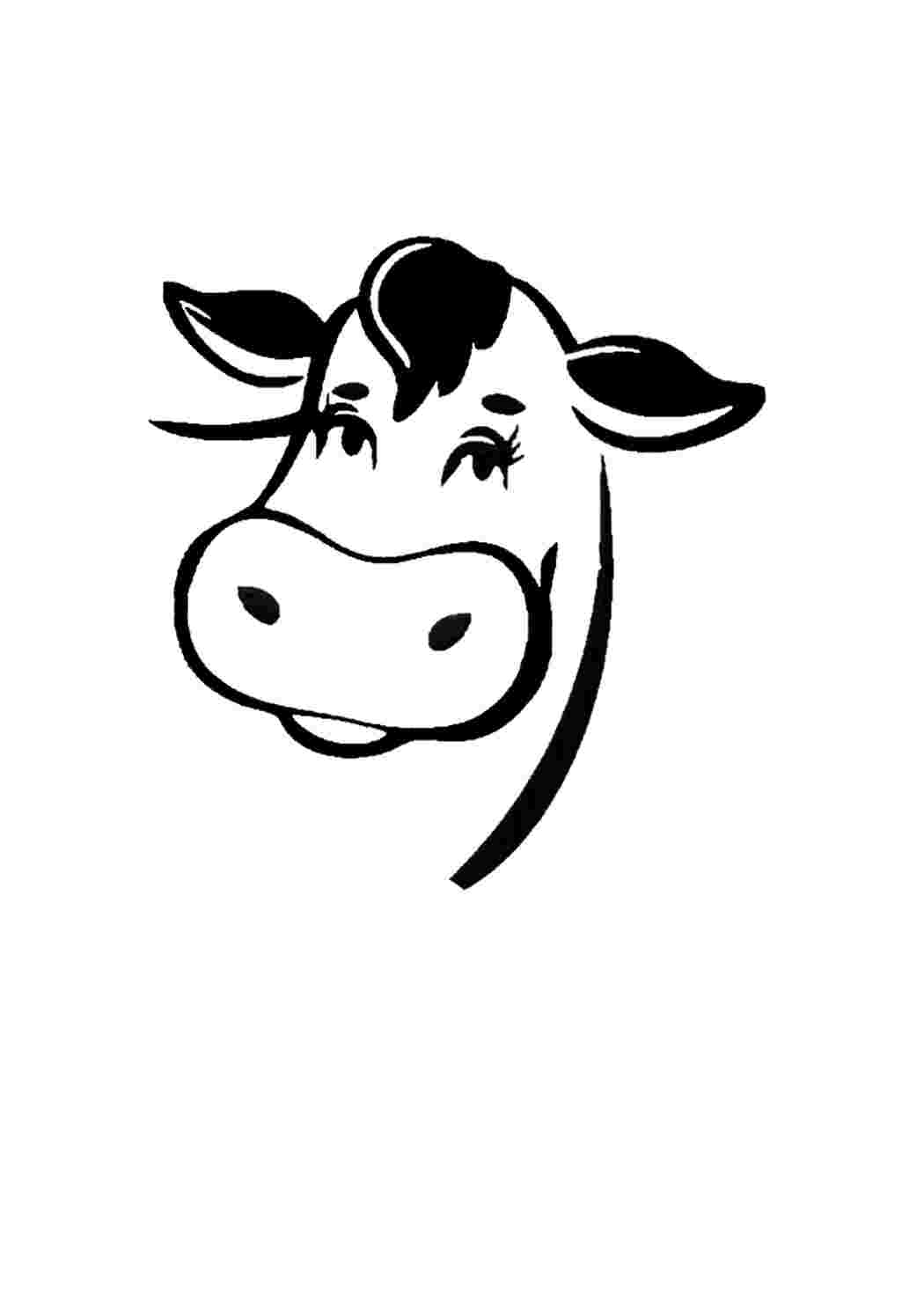 Раскраска Гарні розмальовки Мордочка домашньої тварини корови