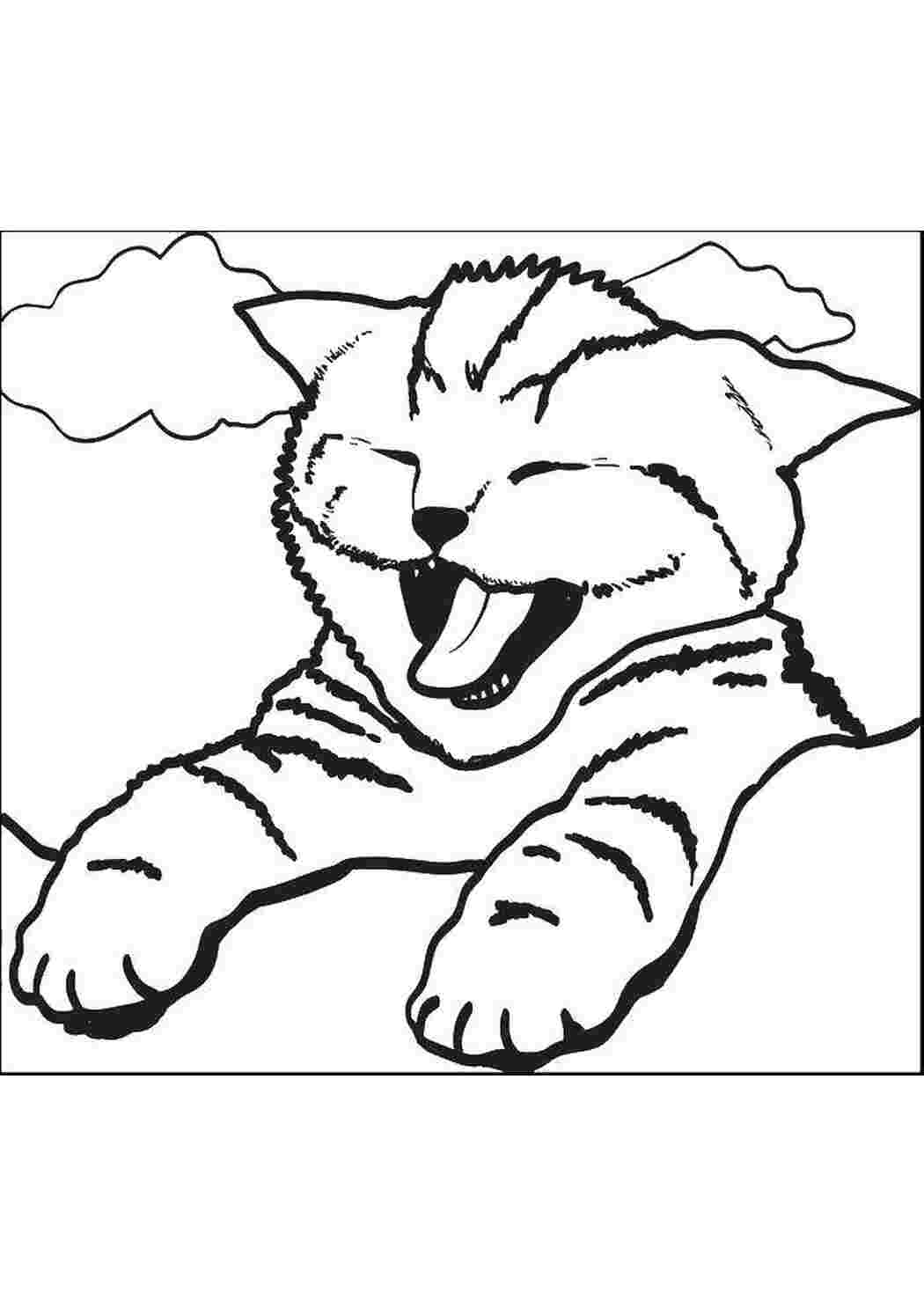 Раскраска Кошеня зиває